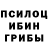 Галлюциногенные грибы Magic Shrooms RUDOLF ke