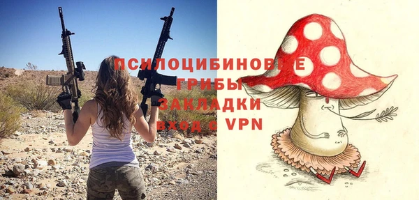 винт Кострома