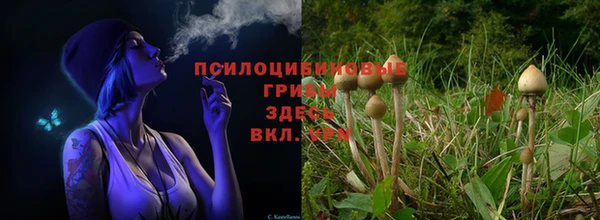 кокс Кулебаки