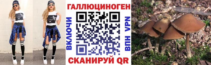 как найти закладки  Альметьевск  Псилоцибиновые грибы Psilocybe 