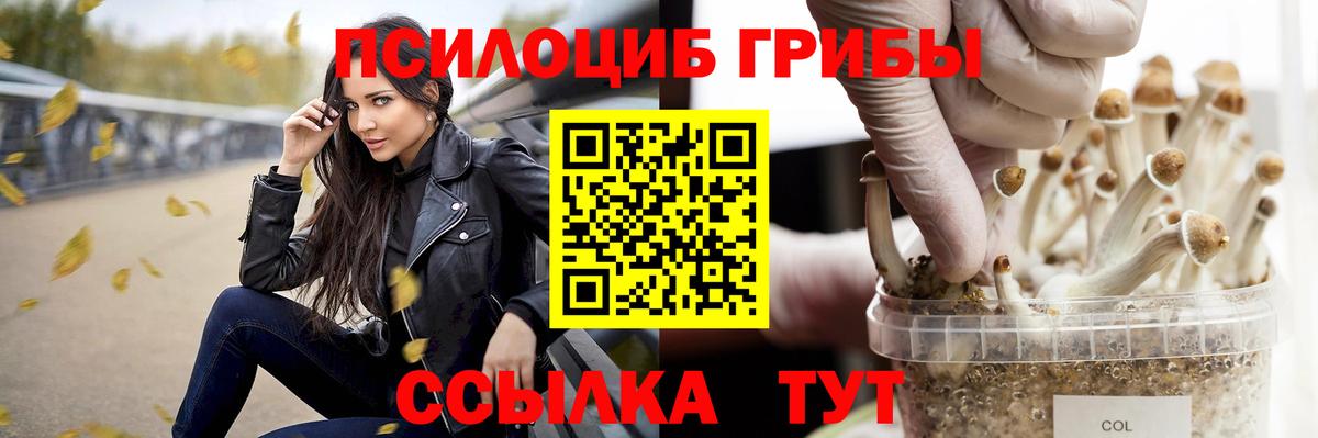 Псилоцибиновые грибы Psilocybe  Альметьевск  Псилоцибиновые грибы мухоморы 